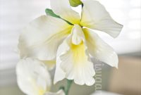 Orchids in Bloom: How to Revamp Your Orchid Blog