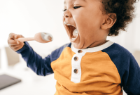 Top-Rated Toddler Plates and Feeding Tools
