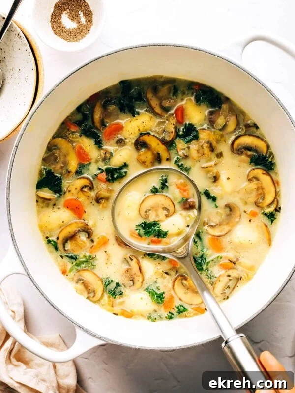 Gnocchi, Mushroom and Kale Soup