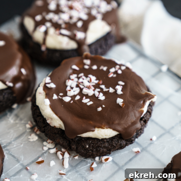 Peppermint Bark Chocolate Cookies Recipe with Candy Cane Pieces 7 peppermint bark cookies