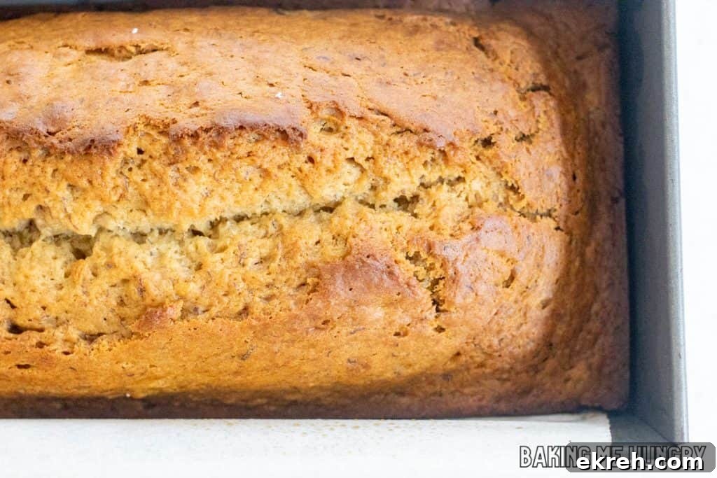 baked bread in pan