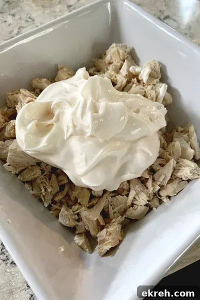 chicken and mayo