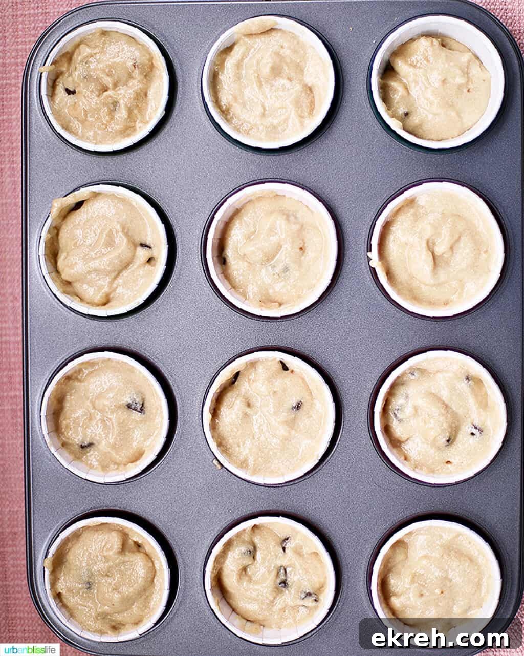 Chocolate Chip Cupcakes with Cookie Dough Frosting Recipe 11 img 11756 10