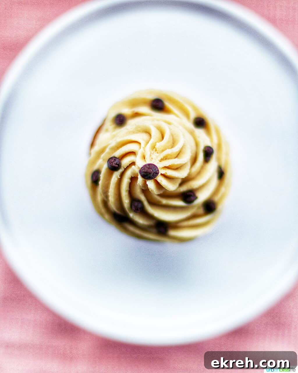Chocolate Chip Cupcakes with Cookie Dough Frosting Recipe 12 img 11756 11