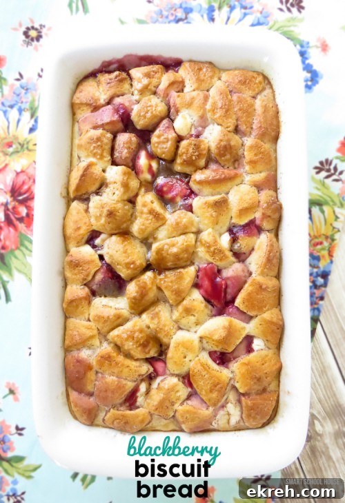 Chicago-Style Deep Dish Pizza Bake Recipe 6 Blackberry Biscuit Bread recipe (we made it for breakfast!)