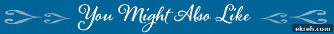 blue banner with the words you might also like