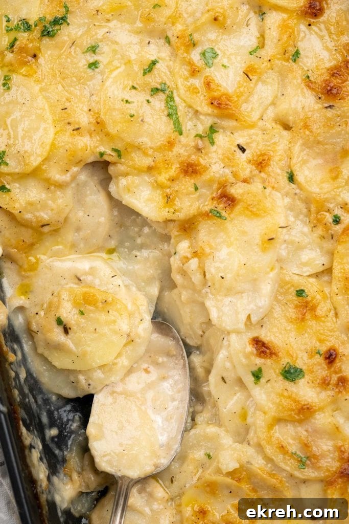 scalloped potatoes
