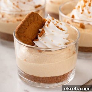 Close up of no-bake biscoff cheesecake in a glass ramekin.