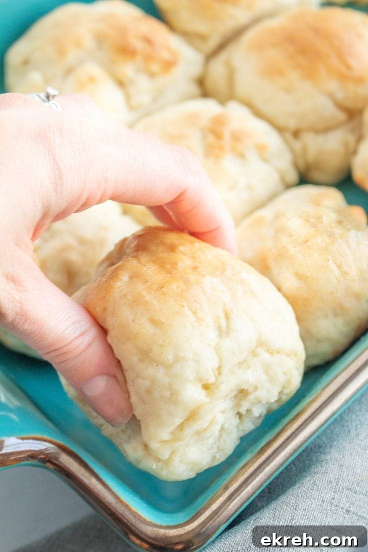 Soft, fluffy and EASY gluten free rolls! Ready in 1 hour and everyone will love them.
