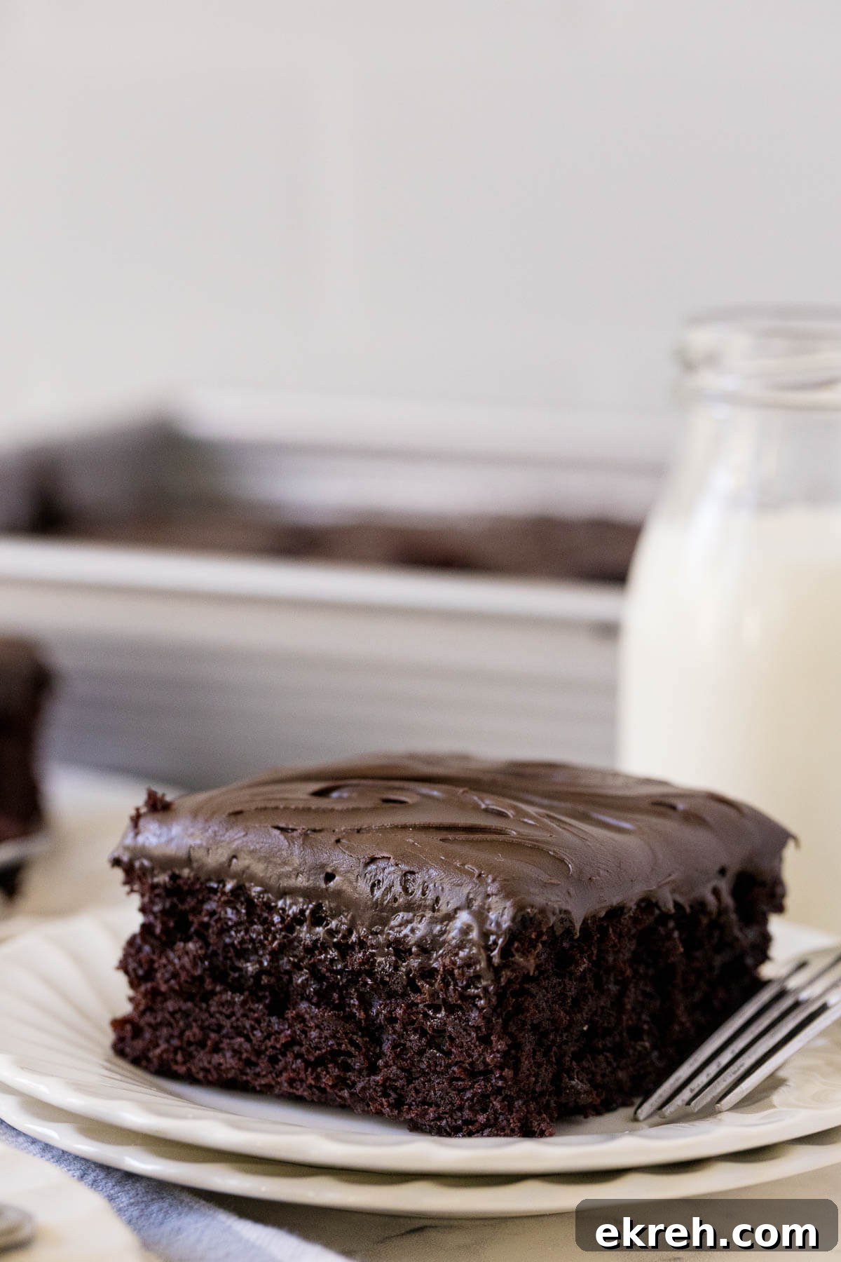 A piece of wacky cake on a plate.