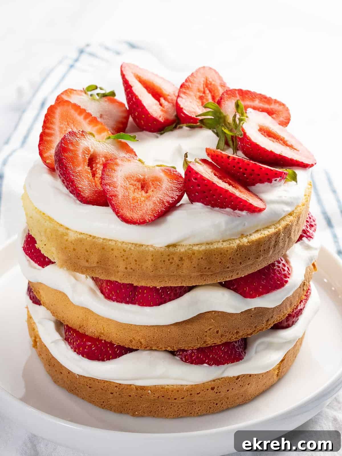 Fresh strawberry cake with strawberries, whipped cream, and sponge cake.