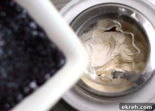 overhead shot of blueberry cheesecake ice cream churning in an ice cream maker