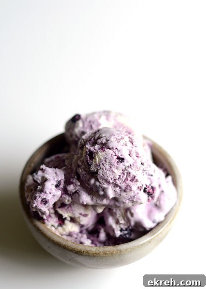 blueberry cheesecake ice cream in a brown bowl on a white background