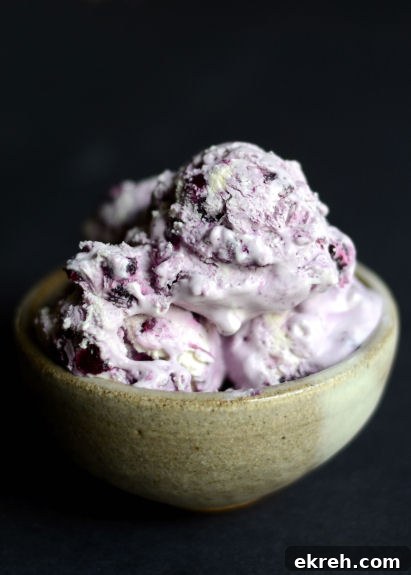 blueberry cheesecake ice cream in a bowl on a black background