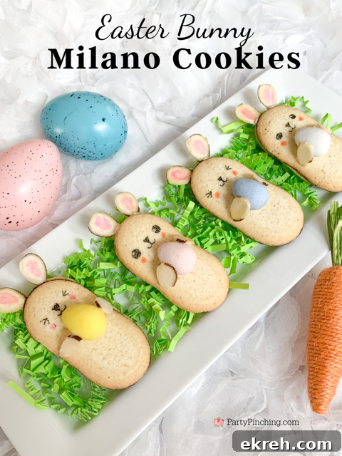 Easter Bunny Milano Cookies, best easy Easter bunny cookies recipe, pepperidge farm Milano cookies, cute bunny cookies, best Easter dessert ideas for kids, no bake store bought Easter cookies, best easy Easter dessert brunch dinner food recipe ideas