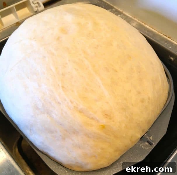 Dinner Rolls Risen