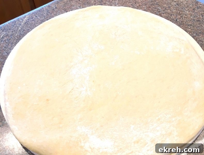 Dinner Rolls rolled out on dough disc