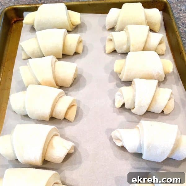 Dinner Rolls Rolled and on baking sheet