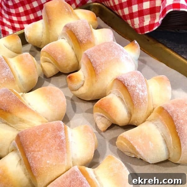 Dinner Rolls right from the oven