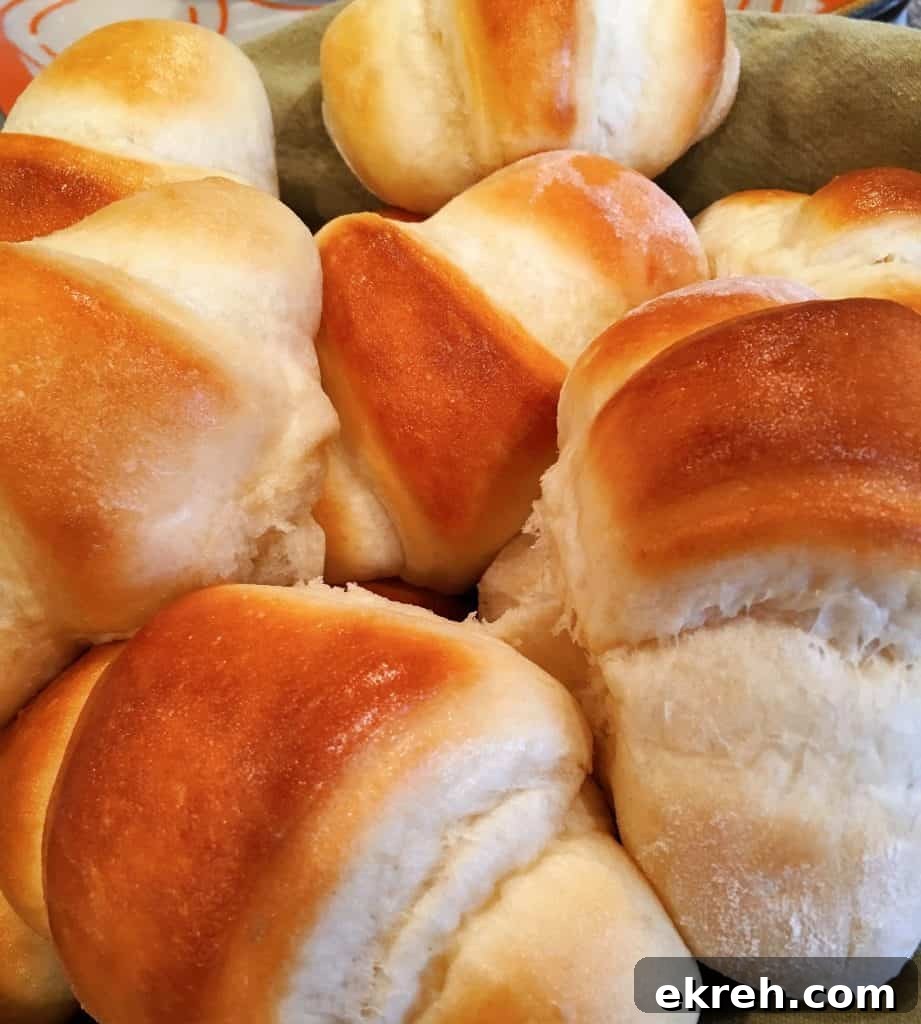 Big Basket of Lion House rolls