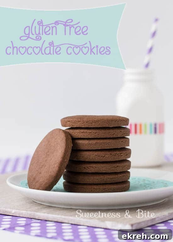 Simple gluten free chocolate cookies {Sweetness and Bite}