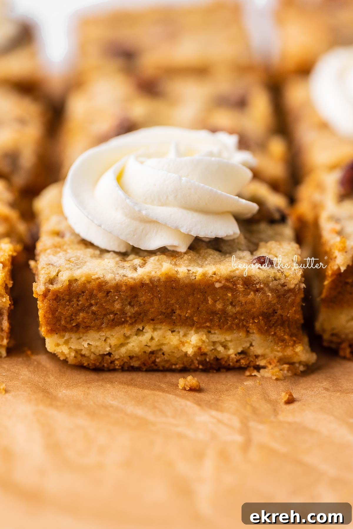 Pumpkin Pie Cake Bars Recipe 7 Sliced pumpkin pie cake bars topped with homemade whipped cream on parchment paper background | © Beyond the Butter®