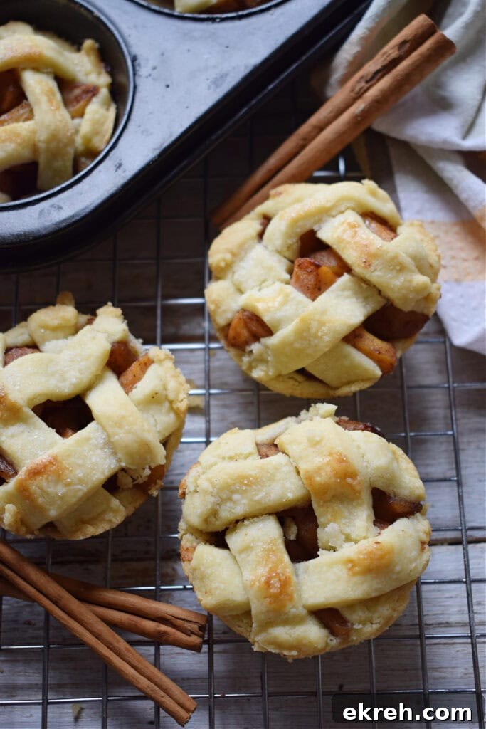 Close up of three mini apple pies on a cooling rack.