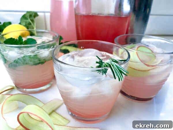 Herb-Infused Simple Syrup Recipe for Cocktails and Mocktails 9 three kinds of rhubarb mocktails