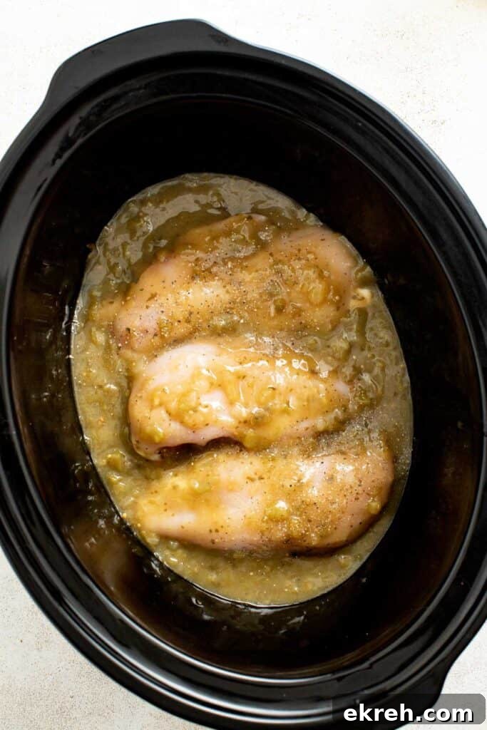 How to Make Crispy Air Fryer Chicken Taquitos 4 Chicken breasts and salsa in a crockpot uncooked.