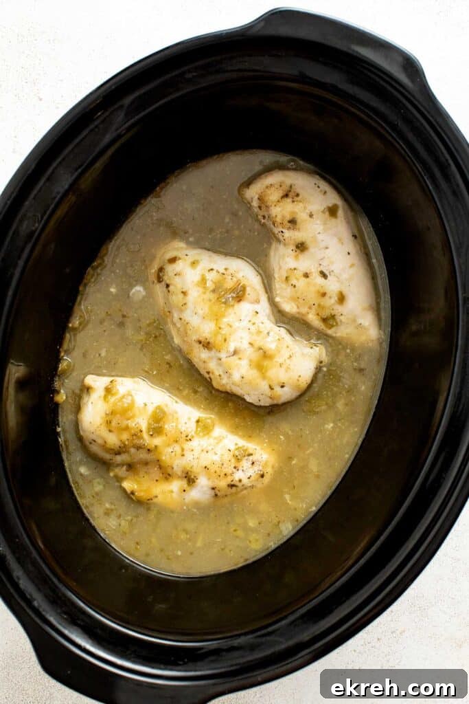 How to Make Crispy Air Fryer Chicken Taquitos 5 Chicken breasts and salsa in a crockpot.