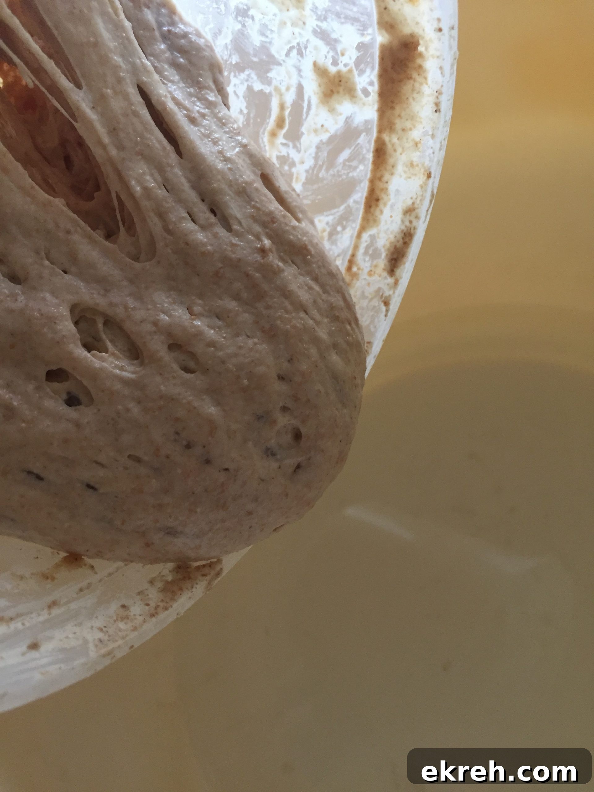 Levain