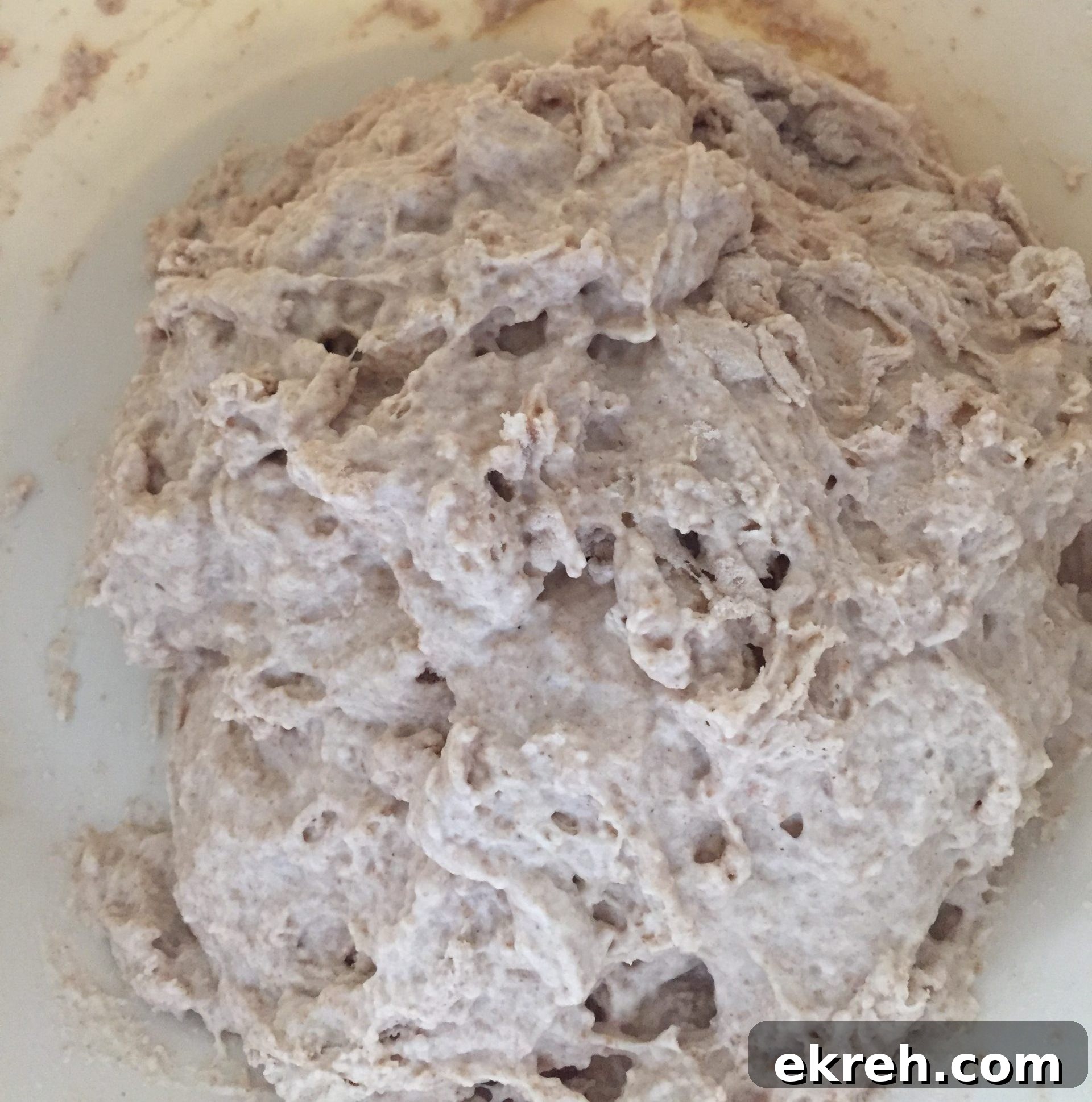 Pre-autolyzed dough