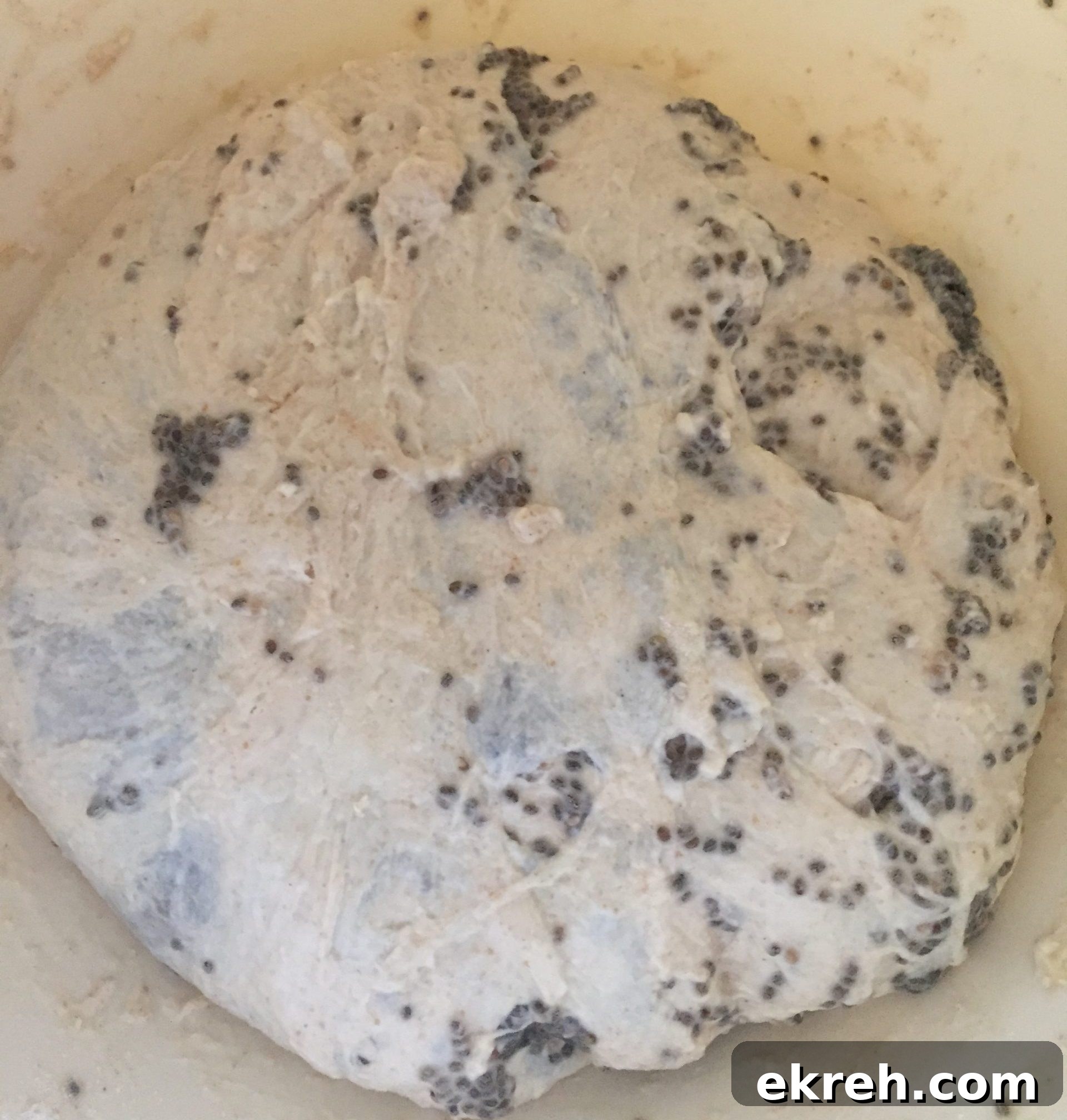 chia seed bread dough