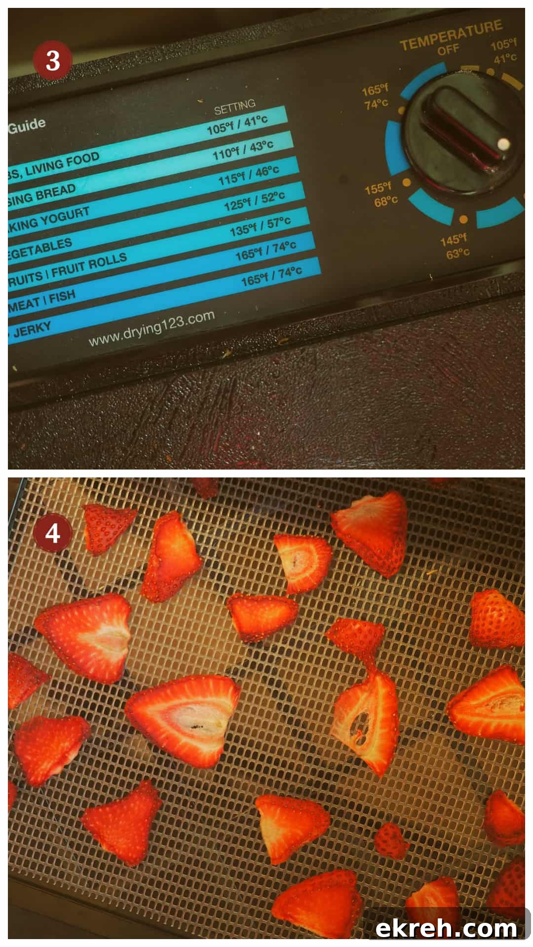 A process collage of images for making dehydrated strawberries, step 3 - 4.
