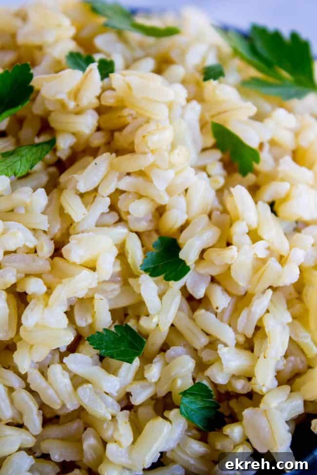 Fluffy Brown Rice from Instant Pot instant pot brown rice garnished with cilantro.