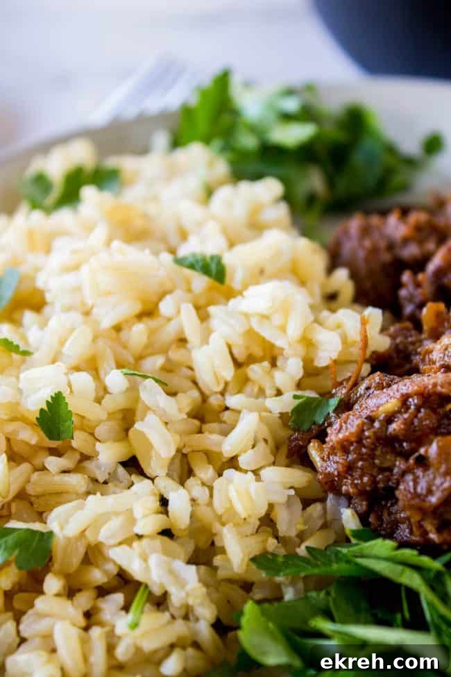 Brown Rice with Beef and Cilantro brown rice with beef and cilantro.