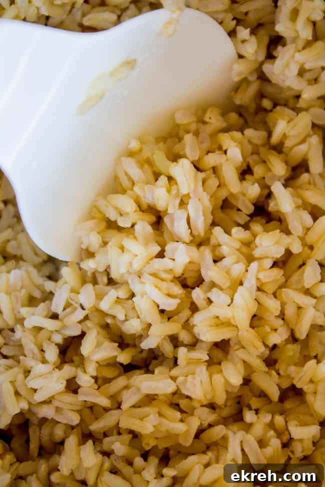 Fluffy Brown Rice fluffy brown rice with a rice paddle.