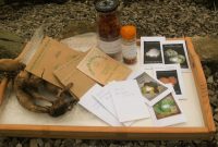 Seedy Penpals January 2014: Unboxing My Parcel