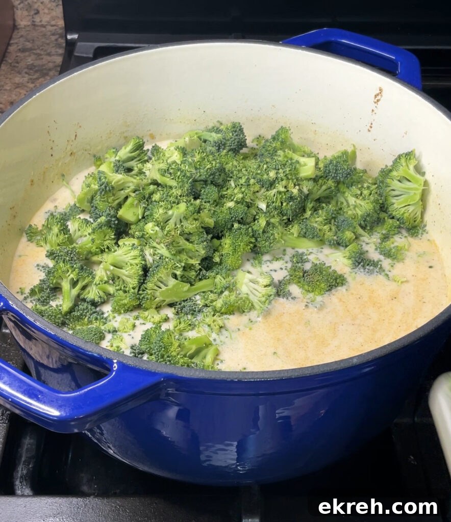 Homemade Creamy Broccoli Cheddar Soup Recipe 17 Adding broccoli to the pot