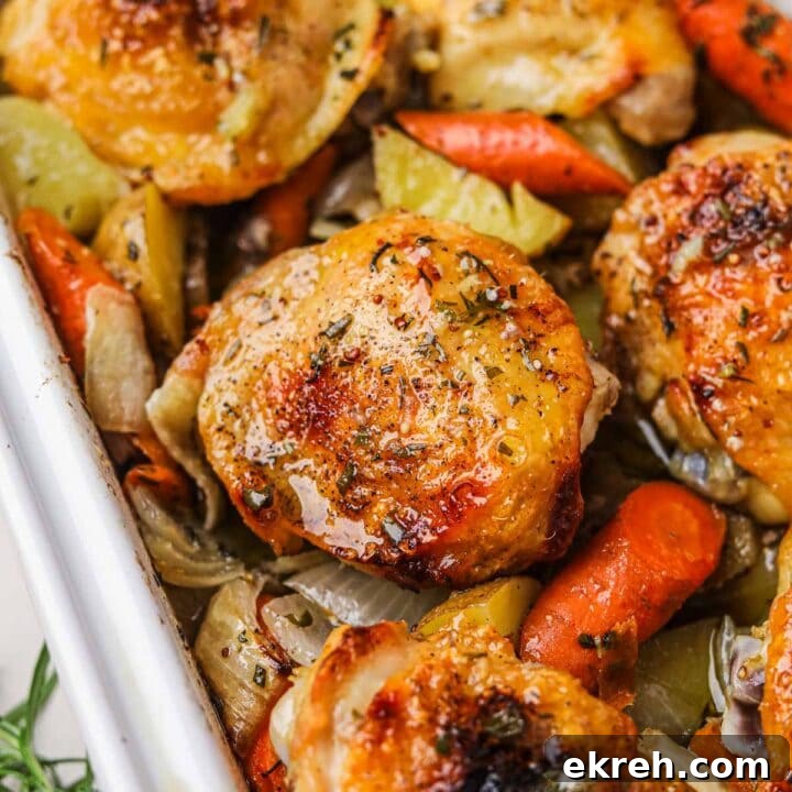 Roasted rosemary chicken thighs with carrots and potatoes.