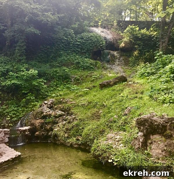 Hot Springs, AR Food and Travel Guide (Part 2) 10 Hot Springs National Park Where to Eat Guide Kitchen Gone Rogue