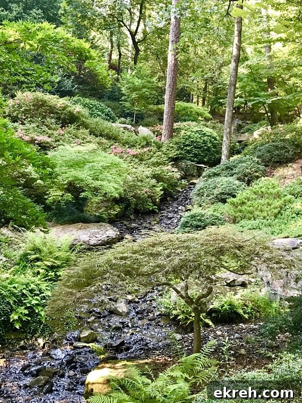 Hot Springs, AR Food and Travel Guide (Part 2) 16 Hot Springs AR Garvan Woodland Gardens