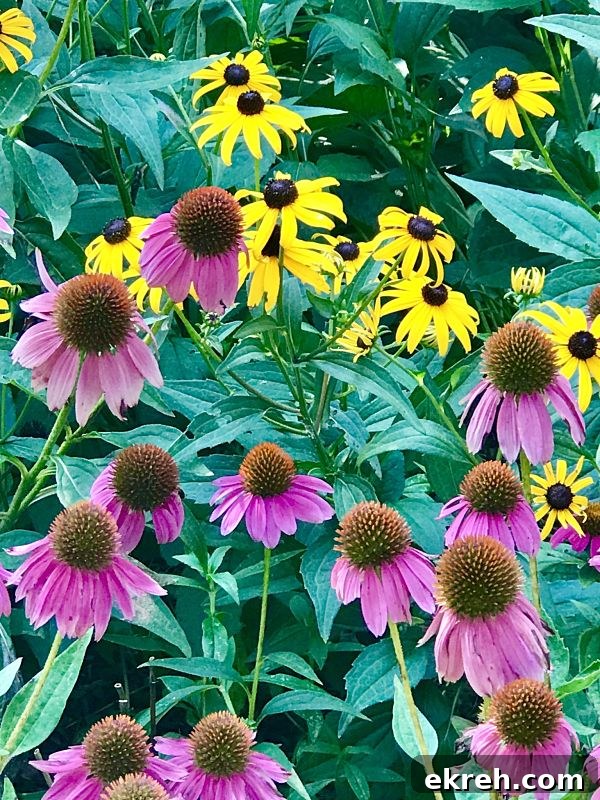 Hot Springs, AR Food and Travel Guide (Part 2) 17 Hot Springs AR Garvan Gardens Flowers Kitchen Gone Rogue