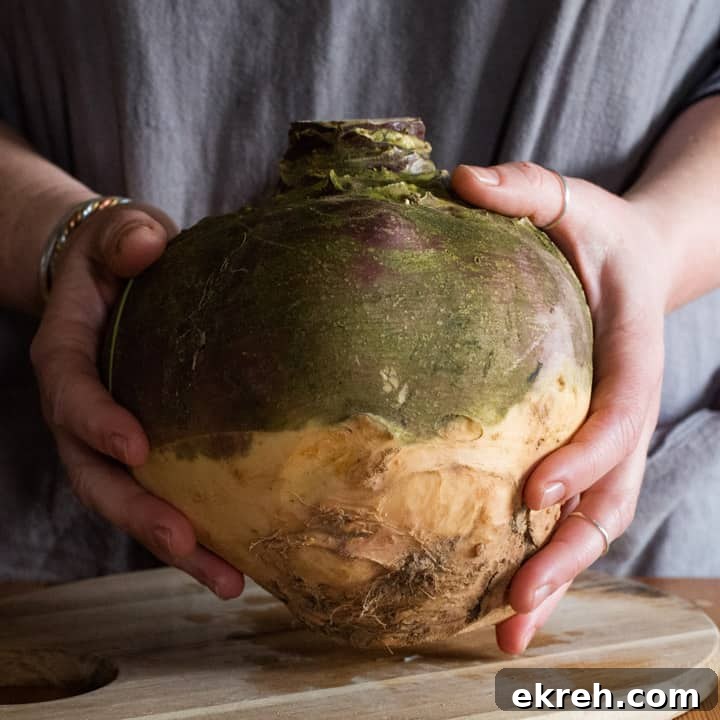 How to Make a Traditional Cornish Pasty (Authentic Recipe) 4 womans hands holding a huge swede