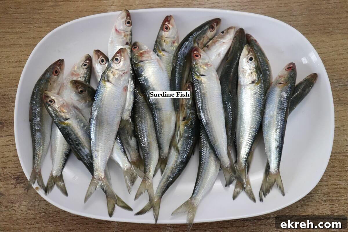 fresh sardines arranged on a plate to make sardine curry.