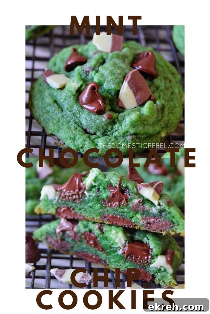 mint chocolate chip cookies photo collage