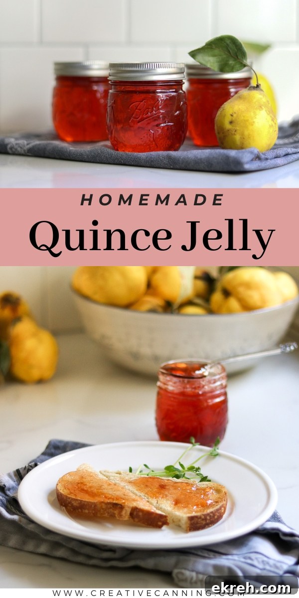 How to Make Quince Jelly: Classic Homemade Recipe 11 Quince Jelly Recipe