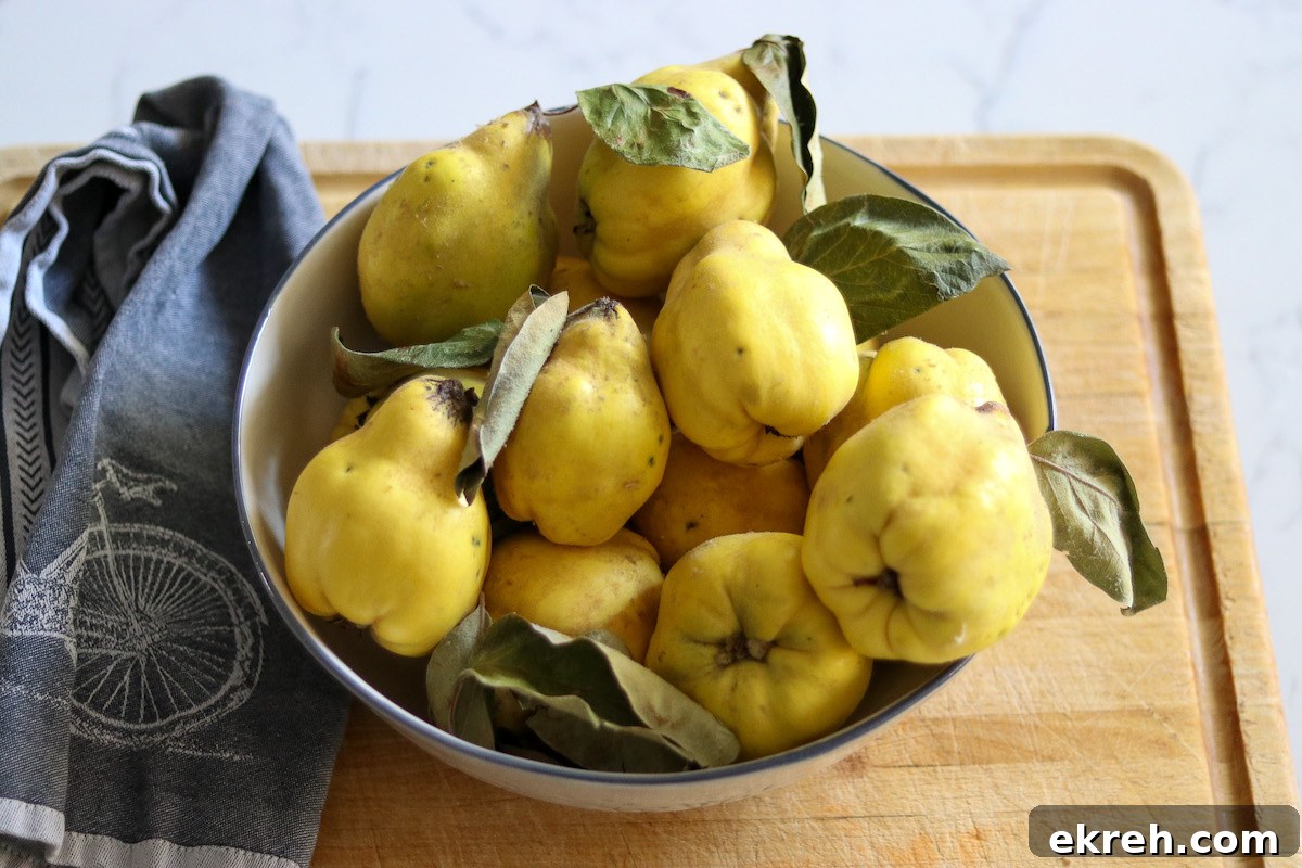 How to Make Quince Jelly: Classic Homemade Recipe 4 Bowl of Quince