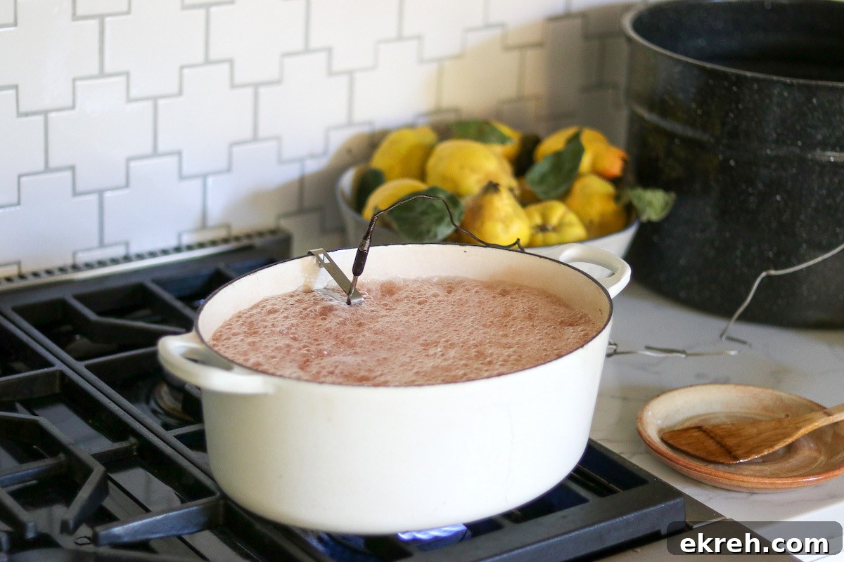 How to Make Quince Jelly: Classic Homemade Recipe 9 Cooking Quince Jelly