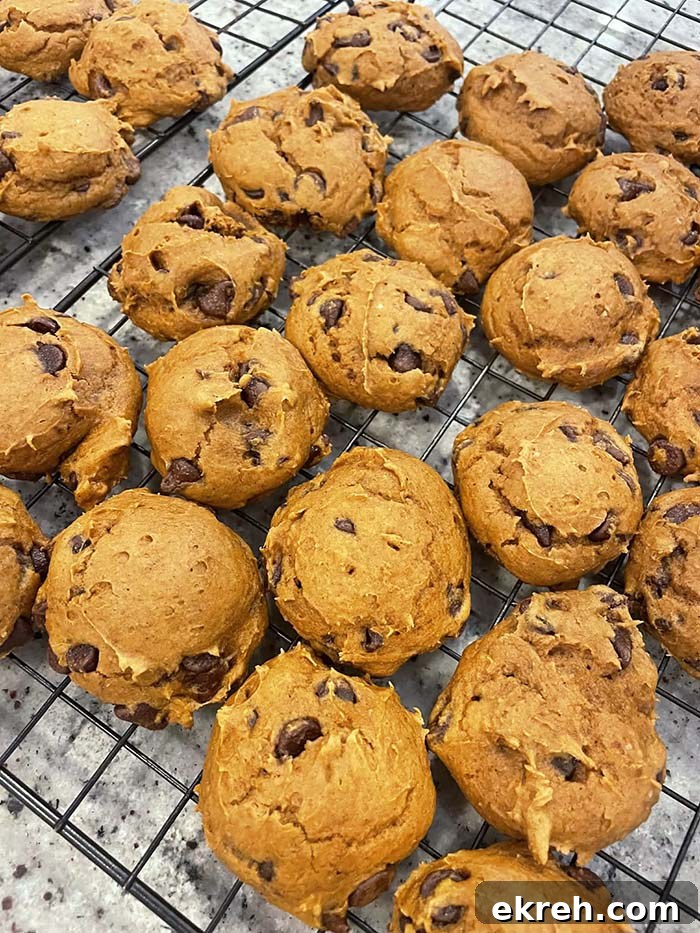 A cooling rack full of pumpkin chocolate chip cookies.